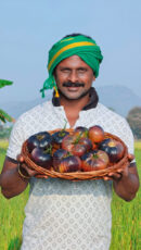 Black beauty Tomato