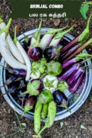 Brinjal combo