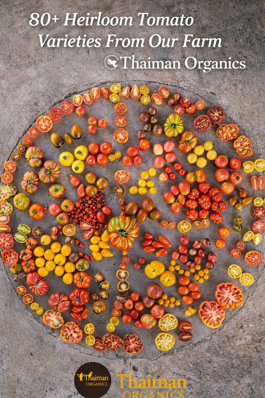 thaiman organic tomatoes seeds