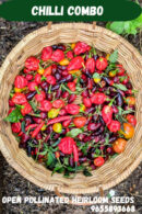 Chilli combo