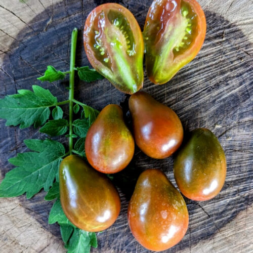 Chocolate pear Tomato