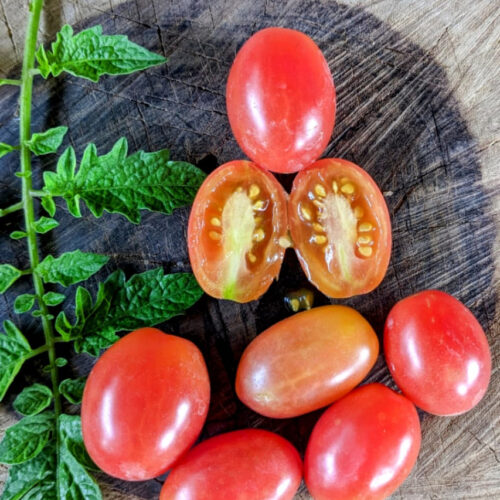 Frost pink Tomato