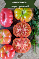 Pink Ribbed tomato