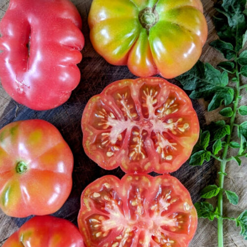 Pink Ribbed tomato