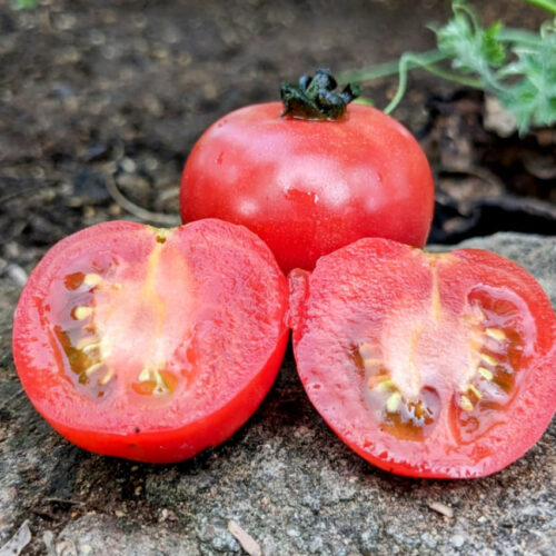 Pink apple Tomato