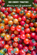 Red cherry Tomato