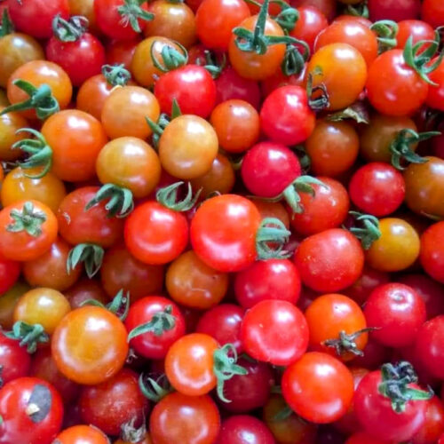 Red cherry Tomato