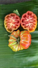 Red ribbed tomato
