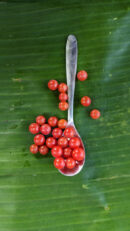 Spoon tomato
