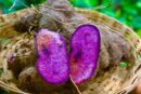 ராசவள்ளி கிழங்கு (Purple yam)