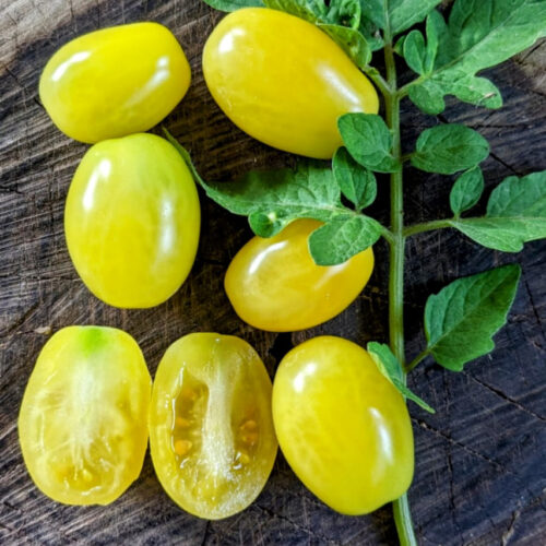 White grape Tomato