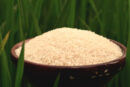 சிவன் சம்பா அரிசி (Shivan Samba Rice)