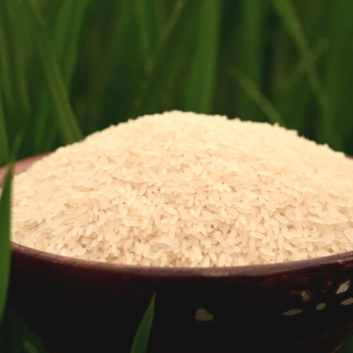சிவன் சம்பா அரிசி (Shivan Samba Rice)