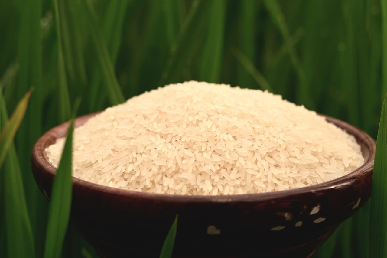 சிவன் சம்பா அரிசி (Shivan Samba Rice)