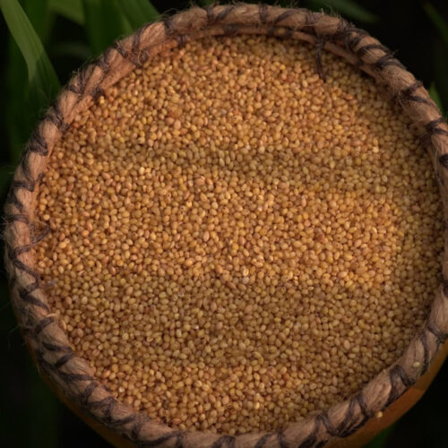 தினை அரிசி (Foxtail millet) 1kg