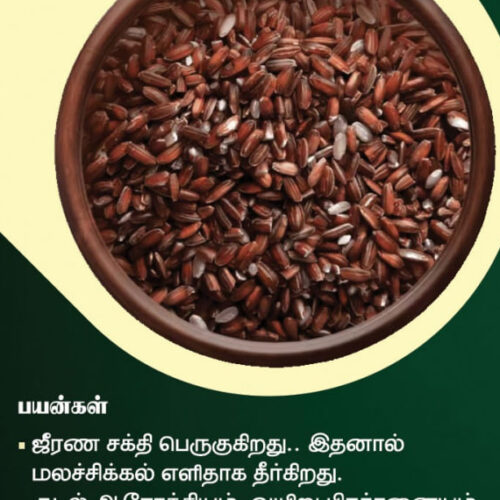 பால்குட வாழை அரிசி (Kudai Vazhai Rice)