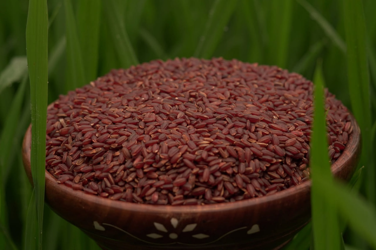 பூங்கார் அரிசி(Poongar rice) 1kg