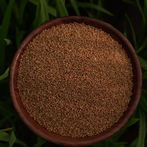 வரகு அரிசி (kodo millet)1kg