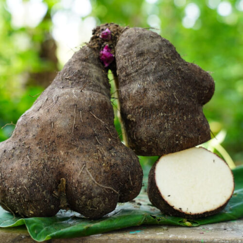 வெற்றிலை வள்ளி கிழங்கு (Yam)
