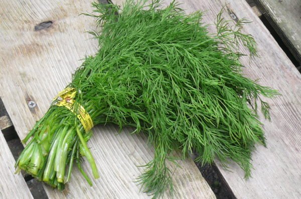 Dill spinach