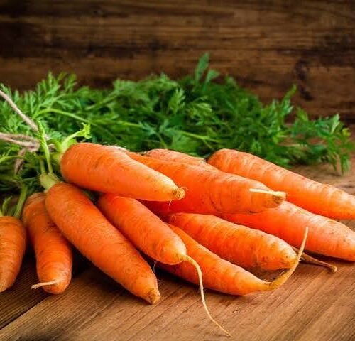 Carrot seeds