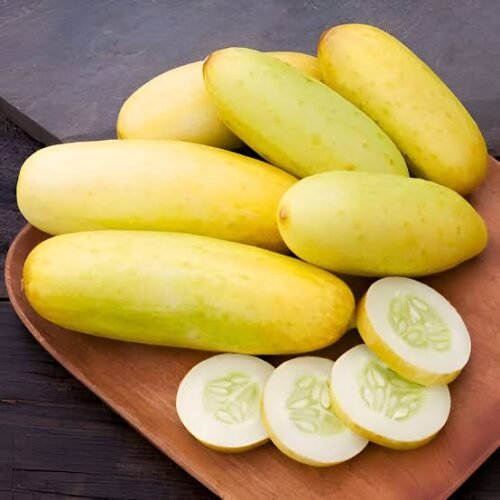White cucumber
