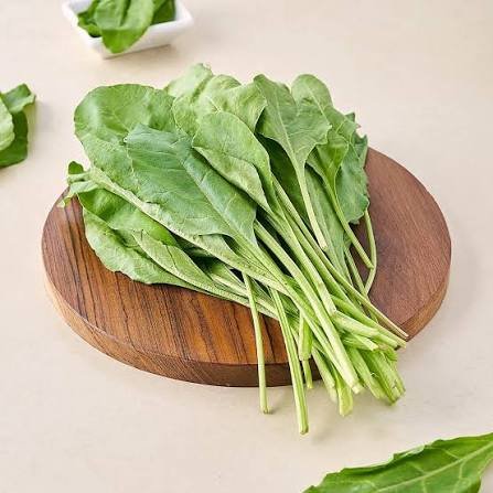 Palak spinach seeds
