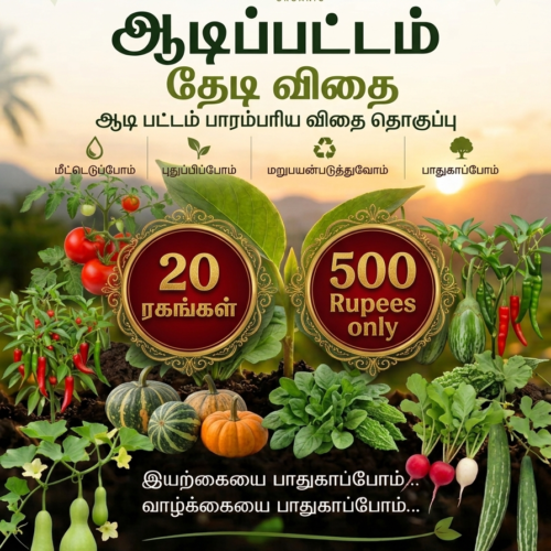 Aadi month combo